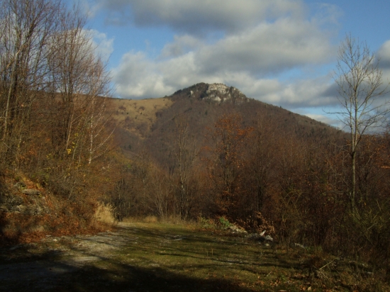 Majerova skala