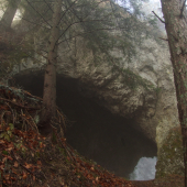 Brána pod Hradišťom