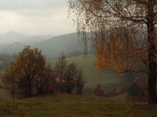 Pri breze