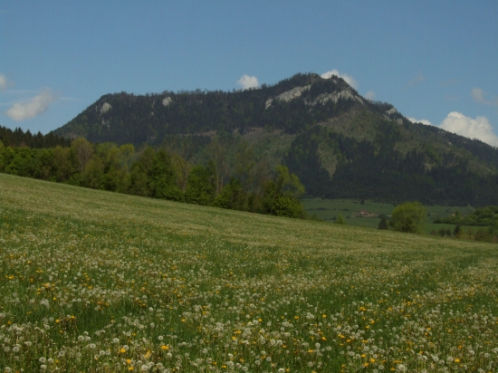Pravnáč