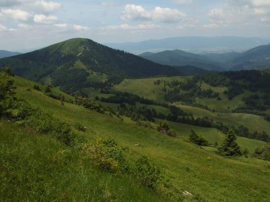Borišov