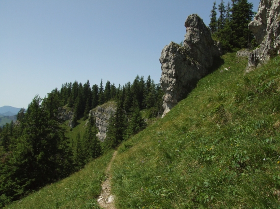 Pusté