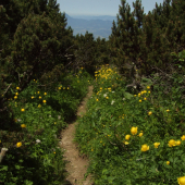 Chodníkom na Krakovú hoľu