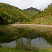 Jazierko v Turíckej doline