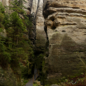 V rokline Teplických skál