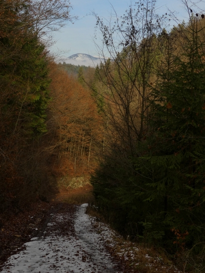 Horná dolina a Prašivá