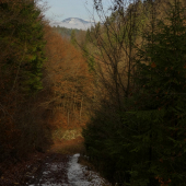 Horná dolina a Prašivá