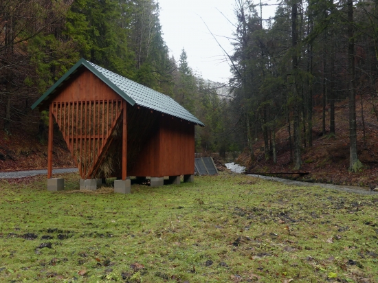 v Žarnovickej doline