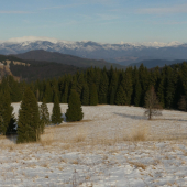 Z Ľubietovskej Bukoviny