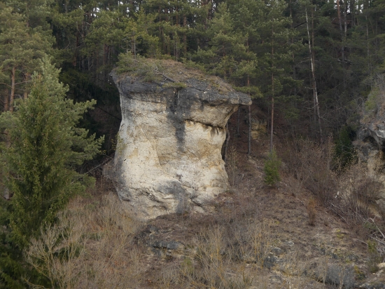 Ľupčiansky skalný hríb