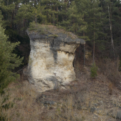 Ľupčiansky skalný hríb