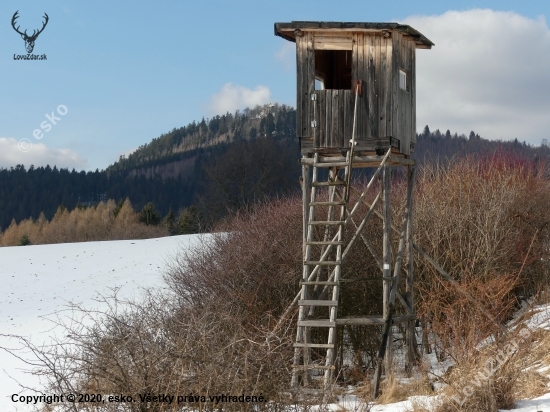 Medzi lúkami