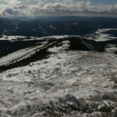 Pod Kráľovou holou