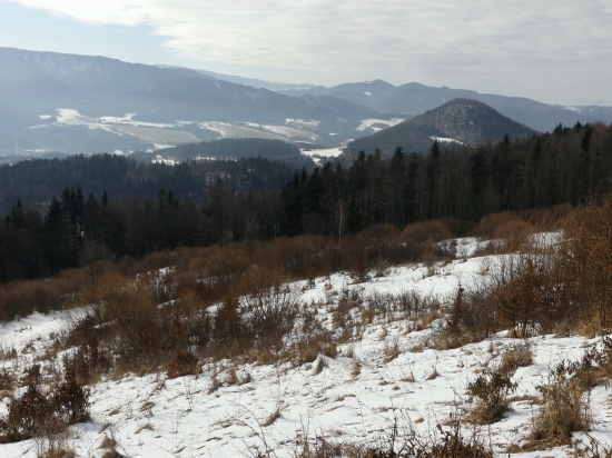 Hradisko nad Nemeckou