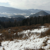 Hradisko nad Nemeckou