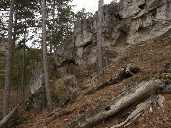 Okno nad Bukovou