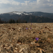 Kečka