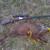 Druhé tohoročné prasiatko.