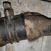 Jeľeň lesný moderný s váhou vzduchu značky Bosh