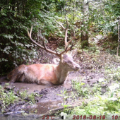 Doprial si wellness...