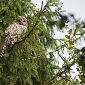 Pekné stretnutie...