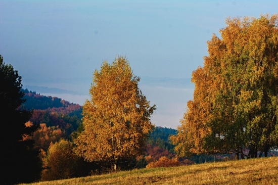 Jesenná