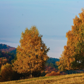 Jesenná