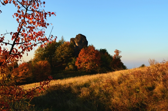 Melichova skala