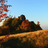 Melichova skala