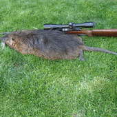 NUTRIA - sezóna zahájená