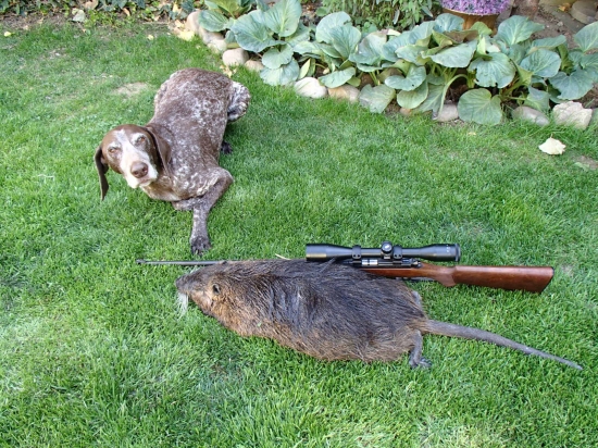 Axinka a nutria