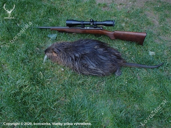 Nutria - posledná vychádzka v sezóne 2019/2020