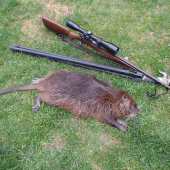 NUTRIA - palica pokrstená