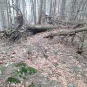 Prvy pohľad