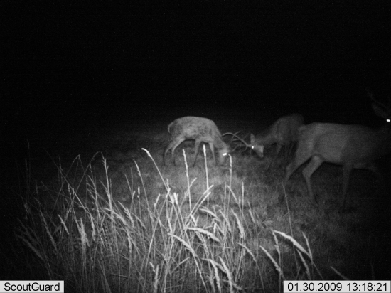 To mládí...