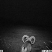 Tady je něco špatně...