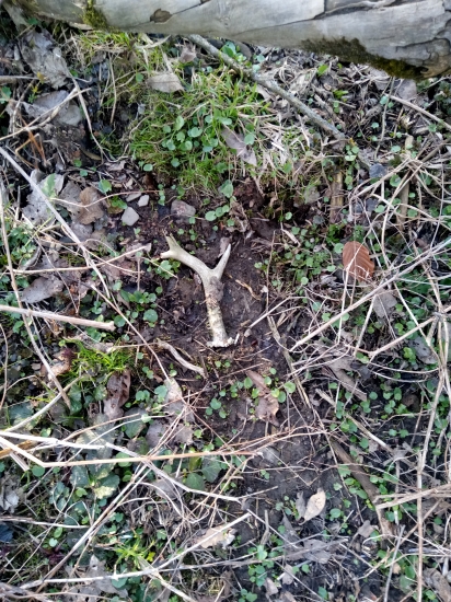 Jen tak si tam ležel ....asi...