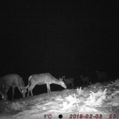 väčší má prednosť