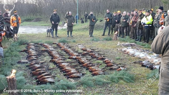 Prvá tohtoročná spoločná poľovačka na bažantov