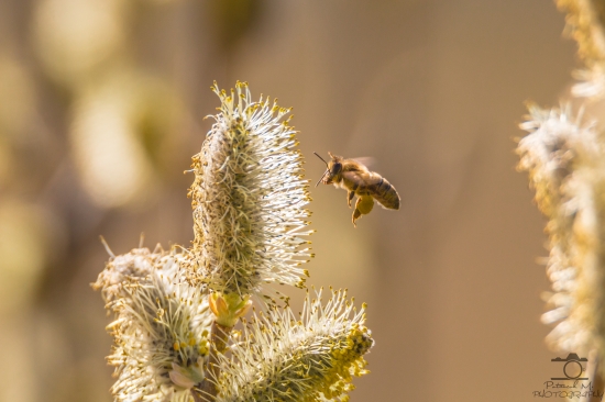Už poctivo pracujú