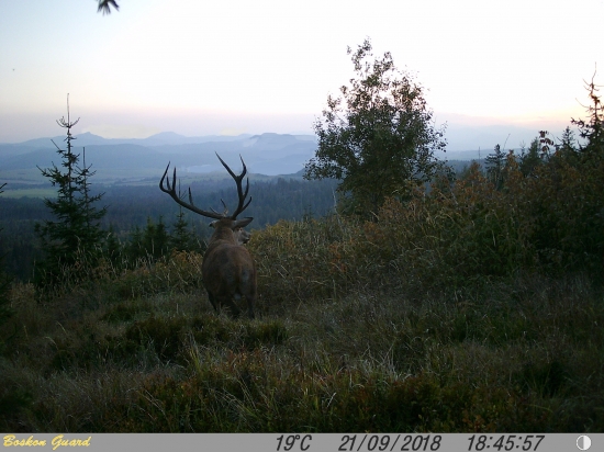 Septembrová idylka.