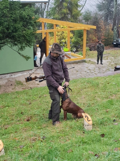 Loran z Lip t. Revuc