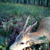 Pozvání od kamaráda