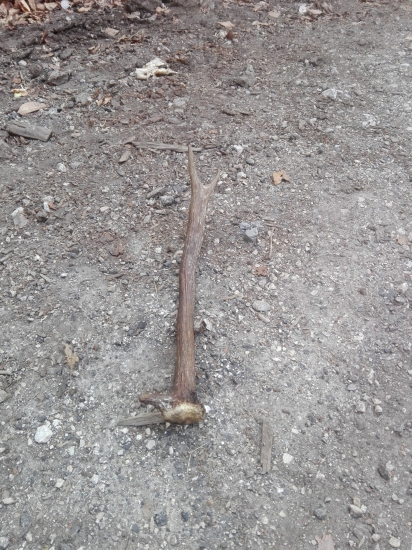 za pár rokov z neho nájsť -)