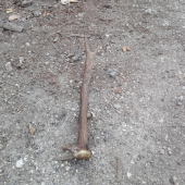 za pár rokov z neho nájsť -)