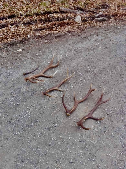 Popri robote  sa o5 zadarilo