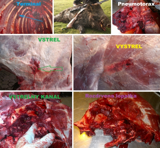 Norma Vulkán  7x65R