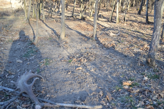 Srdiečko poskočilo