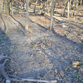 Srdiečko poskočilo