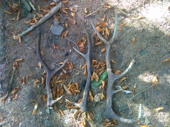 Vydareni deň v praci